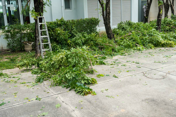 Best Leaf Removal  in Copperopolis, CA